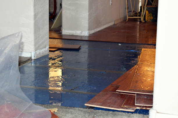 Professional Water Damage Restoration technician working in Lane City, TX
